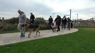 GDL Port Melbourne walk 31 July 2022 [upl. by Dustan]