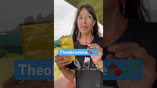 The 🐓 introduction🤣 Theobroma Cacao the food of the gods Theobromine smooth muscle relaxant [upl. by Arraeit]