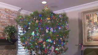 Family Has Been Using the Same Real Christmas Tree for 34 Years [upl. by Damicke578]