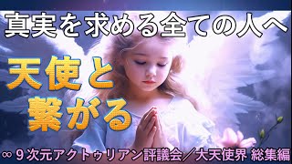 【🌹真実を求める全ての人へ／天使と繋がる】∞9次元アクトゥリアン評議会／大天使界総集編 [upl. by Shanahan305]