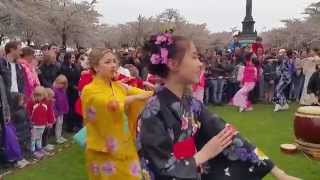 Bon Odori by NihonJin Kai 48  Copenhagen Sakura Festival 2015 [upl. by Eelanaj]