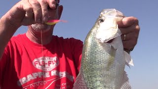 How to Catch BIG CRAPPIE on BIG BAITS [upl. by Dygall]