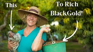 How to Make Chicken Manure Compost  Best Nitrogen Manure Source [upl. by Jessamine]