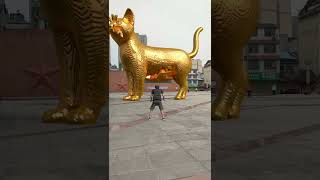 A boy throws a ball to unblock the golden statue of the big cat in the square Original golden stat [upl. by Eilrac310]