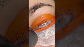 elleebana lash lift🧡 lashlifting lashliftandtint lashliftkit lashliftprocess lashlifttutorial [upl. by Ezarra301]