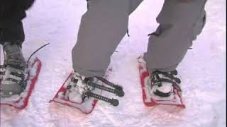 How to Remove Snowshoes [upl. by Woodall167]