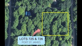 TBD Tamarack Trail LOTS 725 amp 726 Beaver Island MI  475102 [upl. by Ecitnirp25]