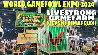 WORLD GAMEFOWL EXPO 2024  LIVESTRONG GAMEFARM  BALERIANS GAMEYARD [upl. by Anett]