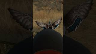 Easy Mallard Shot in Hunter Call of the Wild gaming hunting [upl. by Yetah390]