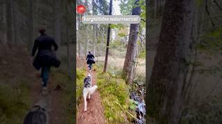 Dagsvandring vid Vargkittelns naturreservat vandring outdoor nature sweden [upl. by Madelle229]