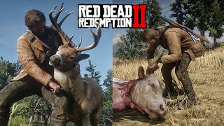 RDR 2  Satisfying SKINNING All Animals PART1 Physics amp Details [upl. by Assetniuq]