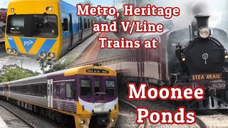 Metro Heritage and VLine Trains at Moonee Ponds [upl. by Quinta682]