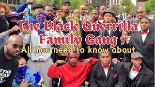 The Black Guerrilla Family Gang  Everything you need to know about [upl. by Oitaroh]