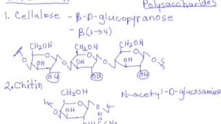 88 Carbohydrates Polysaccharides  Cellulose Chitin Amylose Amylopectin amp Glycogen [upl. by Prud]