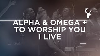 Alpha amp Omega  To Worship You I Live  Alton Eugene  Bethel Worship [upl. by Kale226]