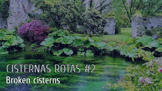 Cisternas Rotas 2  William Marriom Branham [upl. by Ennovaj]