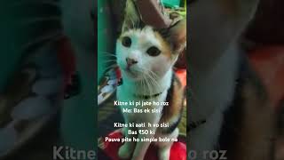 Pauva pite ho comedy funny fun jokes entertainment cat comedyfilms funnycomedy acting cat [upl. by Alleacim869]