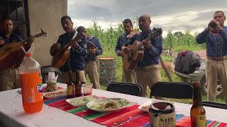 El collar de guamuchil mariachi los Copales [upl. by Nimzay474]