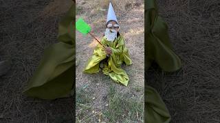 Gnomes vs knight✊✊💪💪gnome gnomedecor 2024 wizard gnomesgarden [upl. by Llehsyt]