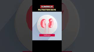 GLOMERULAR FILTRATION RATE gfrglomerularfiltrationrate EXPLAIN GFRGLOMERULAR FILTRATION RATE [upl. by Nabila]