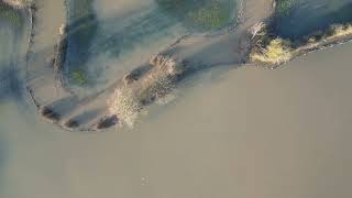 Rugby and District from above  West Newton Road River Avon Floods 010124 [upl. by Orips]