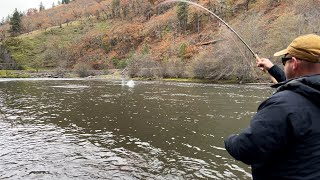 Crazy Day in Washington  Spey Fishing for Summer Steelhead [upl. by Aisanat]