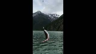 Diablo Lake WA Fishing May 2023 [upl. by Haymes703]