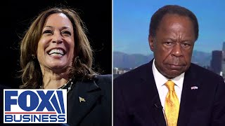 DISINGENUOUS Leo Terrell blasts Harris rollout of Black programs [upl. by Ynnos]