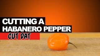 Cutting a Habanero Pepper [upl. by Repooc894]