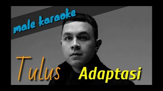 Tulus  Adaptasi karaoke lirik male key [upl. by Cohette]