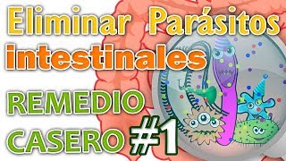 ELIMINAR PARÁSITOS INTESTINALES REMEDIO CASERO N° 1 [upl. by Aviv475]