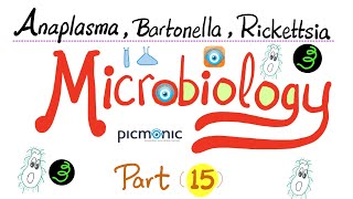 Picmonic Microbiology  Anaplasma Bartonella Coxiella Ehrlichia Rickettsia  Part 15 [upl. by Featherstone]