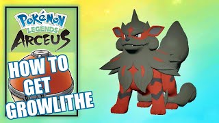 Pokemon Legends Arceus  Where to Find Growlithe Location and Evolution [upl. by Luigino]