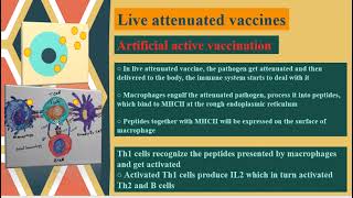 Live attenuated vaccine [upl. by Lerret]