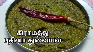 Pudina Thogayal in Tamil  புதினா துவையல்  Mint Thuvayal  Hotel Style Chutney Recipe  Mint Thokku [upl. by Lorrimor]