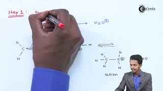 Mechanism Of Hydration Of Ethene  Alcohols Phenols and Ethers  Chemistry Class 12 [upl. by Jasik773]