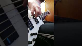 Sure shot  intervals bass cover [upl. by Claudie]