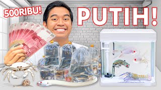 BELI SEMUA HEWAN APAPUN DAN KANDANGNYA SERBA PUTIH SEHARGA RP 500000 [upl. by Shelden]