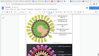 Tutorial como usar o Genbank [upl. by Laval671]