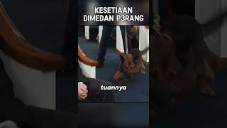 KESETIAAN TERAKHIR DIMEDAN P3RANG [upl. by Kenelm170]