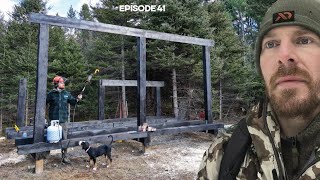 Log Cabin Build on OffGrid Homestead EP41 WOOD SHED  Giant Japanese Style [upl. by Salim]