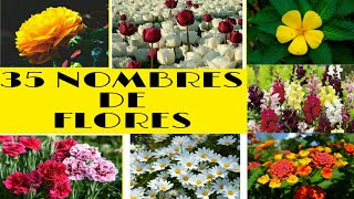 35 Nombres de Plantas🌷🍃🌷que tienes que Saber💡¿ Cuál es tu Preferida [upl. by Trub]