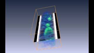 Threedimensional chemical mapping by scanning transmission Xray spectromicroscopy [upl. by Gardol]