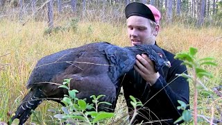 Skogsfugljakt I Tiurens Rike 3  Capercaillie and black grouse hunting movie [upl. by Hgieleak951]