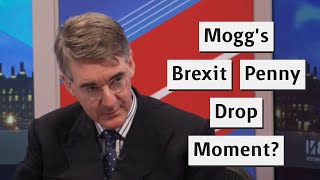 Jacob ReesMogg Now Understands The Problem With Brexit [upl. by Isborne815]