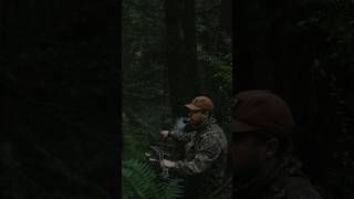 Still Hunting Coastal Rainforest hunting bowhunting deerhunting [upl. by Mikkel]