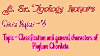 phylum chordata [upl. by Goulder43]