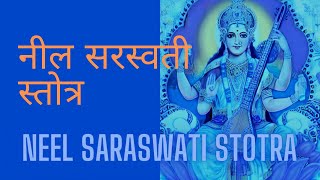 Neel Saraswati Stotram  नील सरस्वती स्तोत्रम्  Neel Saraswati Stotra with Lyrics [upl. by Arten]