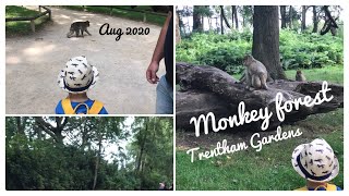 Trentham Gardens Monkey Forest August 2020 [upl. by Anivid]