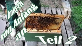 Imkern von Anfang an  Teil 2  Der erste Ableger  Das erste Bienenvolk  Bienen für Anfänger [upl. by Rairb]